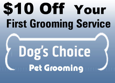 large dog grooming coupon